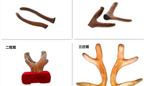 脸上长痘-脸上长痘挂什么科-脸上长痘用什么药好得快,中国脸上长痘用什么洗脸好网站