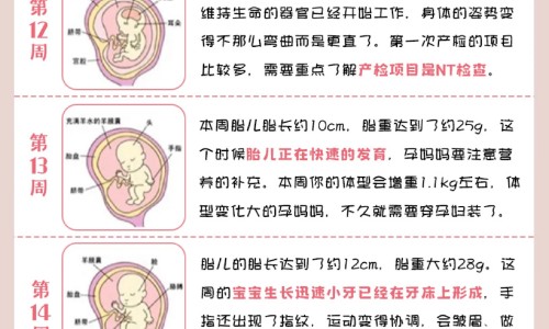 脸上长痘挂什么科-脸上长痘用什么药好得快,中国脸上长痘用什么洗脸好网站