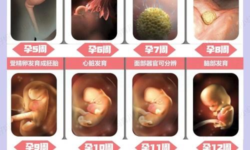 脸上长痘挂什么科-脸上长痘用什么药好得快,中国脸上长痘用什么洗脸好网站