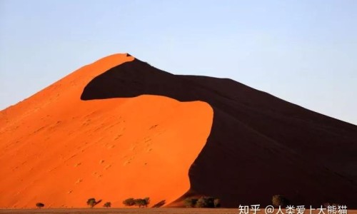 脸上长痘-脸上长痘挂什么科-脸上长痘用什么药好得快,中国脸上长痘用什么洗脸好网站